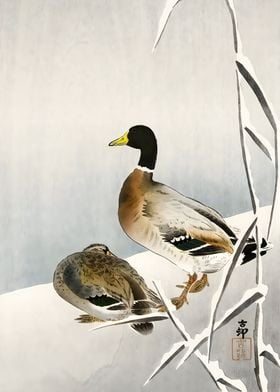 Ukiyo e Two ducks on snowy