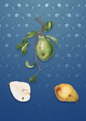 Pear on Bahama Blue