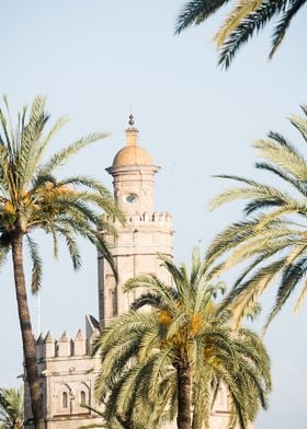 Torre del Oro in Seville 1