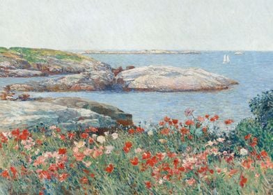 Poppies on the Isles