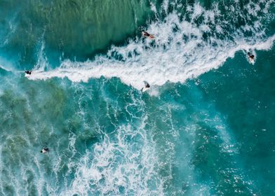 Surfers in the ocean