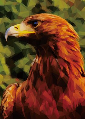 Low Poly Hawk