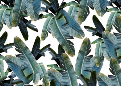 Tropical Banana Leaves 4a