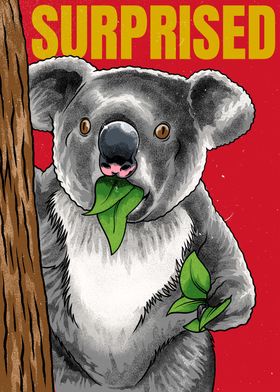 Funny Koala