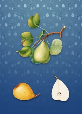 Pear on Bahama Blue