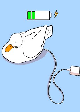 duck on charging