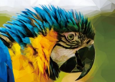 Low Poly Parrot