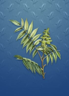 Vintage Staghorn Sumac