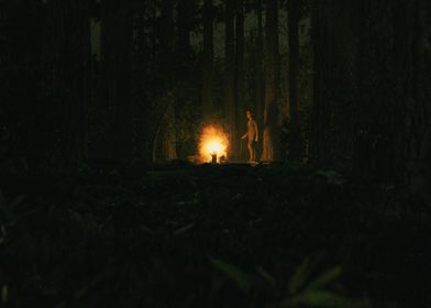 Camp Fire Scene 1 3D
