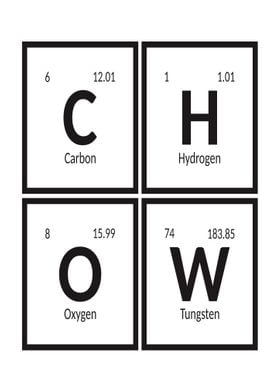 Elements of Chow