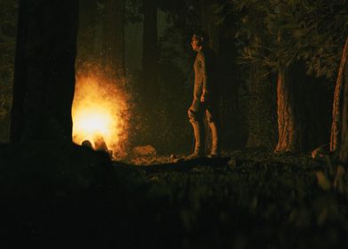 Camp Fire Scene 3 3D