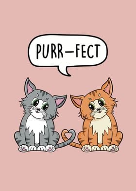 Purrfect Cats