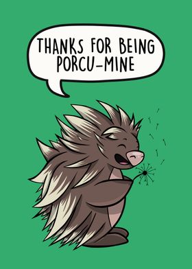 Thanks For Being Porcumine