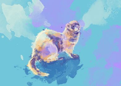 Ferret Colorful Abstract
