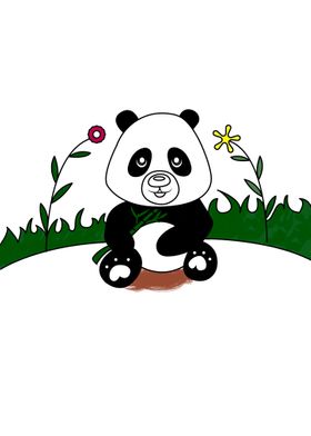 Panda Color Illustration