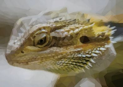 Low Poly Lizard