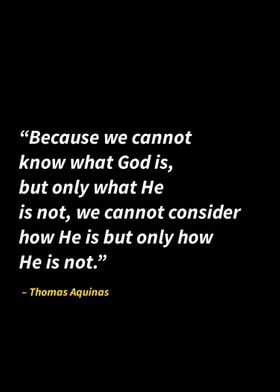 Thomas Aquinas quotes 