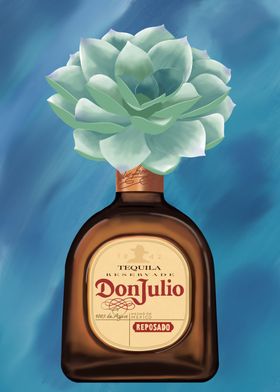 Don Julio succulent 