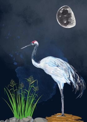 Crane And Swamp