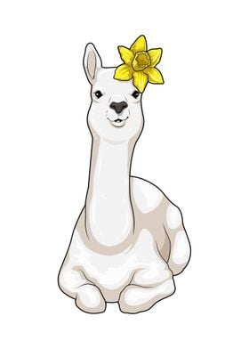 Llama Daffodil Flower