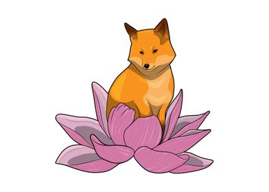 Fox Lotus flower
