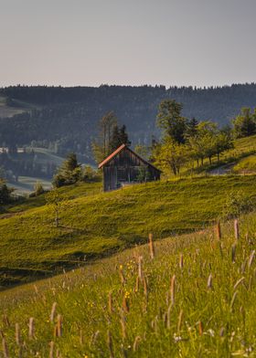 Swiss mountain Barn