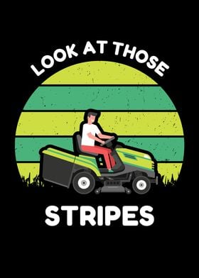 Look At Those Stripes Lawn