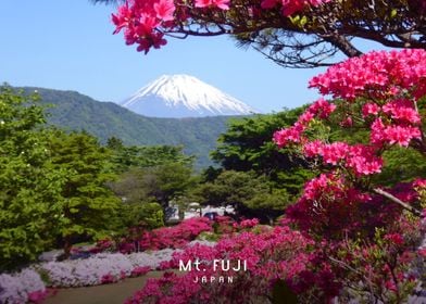 Mount Fuji 