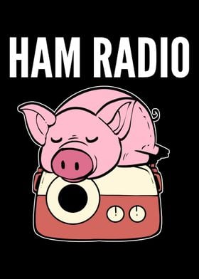 Ham Radio Newscaster Gift