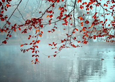 Autumn landscape in park