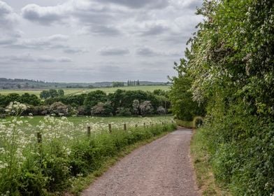 Along the Fields and Skies