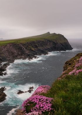 Scenic Atalntic coast