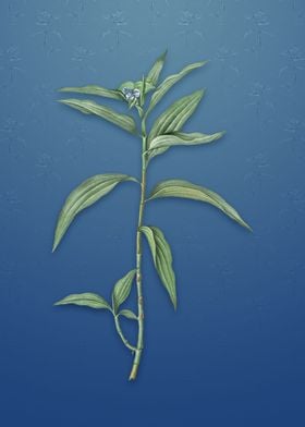 Dayflower on Bahama Blue