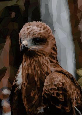 Low Poly Eagle