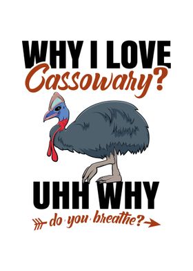 Cassowary