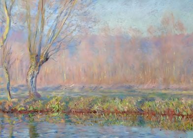 The Willow 1885