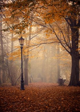 Autumn path, bridge, park