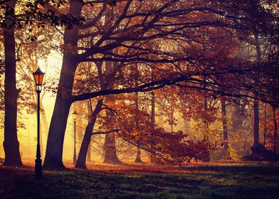 Autumn landscape, Poland