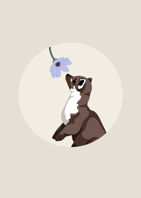 Ferret Smelling Flower 