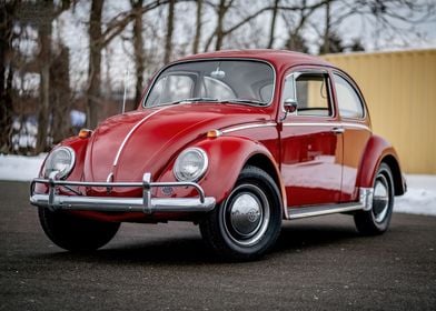 VW Beetle