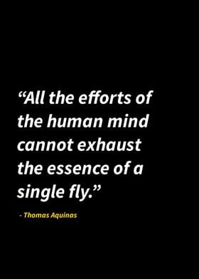 Thomas Aquinas quotes 