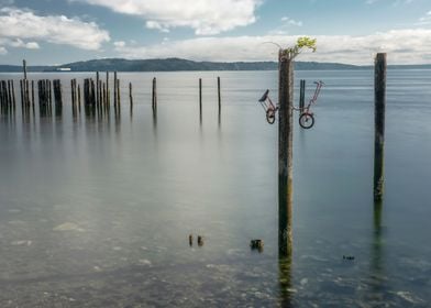 TimeWorn Pilings