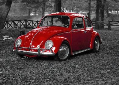 VW Beetle