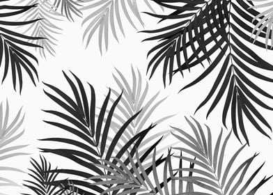 Palm Jungle 2 tropical 