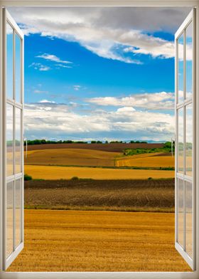 Window view field nature