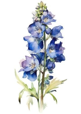 Delphinium Flower Beauty