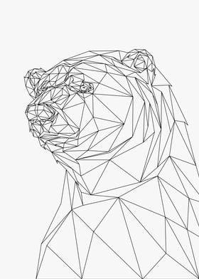 Polar Bear Poly Wireframe