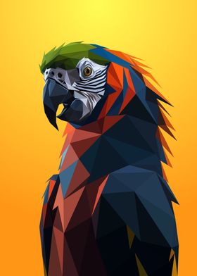 Macaw Lowpoly