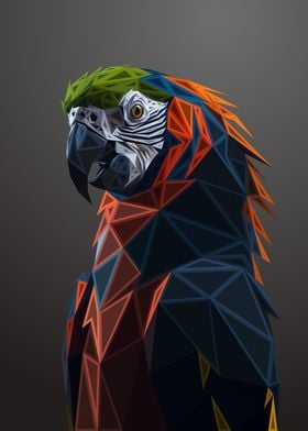 Macaw Lowpoly Engraved