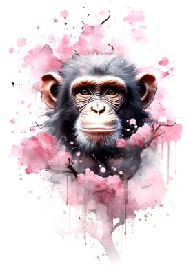 Chimpanzee